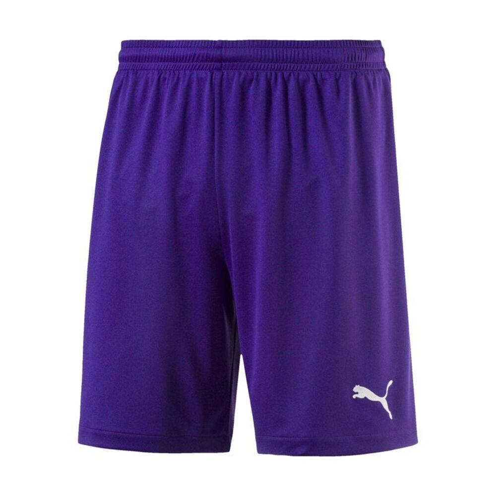 Puma Childrens/Kids Velize Football Shorts / Purple